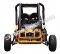 Sprint 125cc Gokart for kids | Independent Dual A-Arm With Reverse