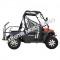 Linhai T-Boss 410X EFI 400cc Utility Vehicle Side by Side UTV 4x4 Golf Cart