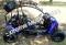 Transformer 125cc Kids Go Cart Go Kart Off Road Dune Buggy