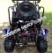 Transformer 125cc Kids Go Cart Go Kart Off Road Dune Buggy