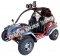 Tiking TK200-8 200cc Go Cart Kart Off Road Dune Buggy