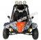 Tiking TK200-8 200cc Go Cart Kart Off Road Dune Buggy