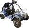 Tiking TK200-8 200cc Go Cart Kart Off Road Dune Buggy