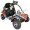 Tiking TK200-8 200cc Go Cart Kart Off Road Dune Buggy