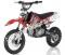 Apollo DBX5 125cc Kids Dirt Bike 4 Speed Manual 14/12 Wheel