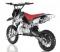 Apollo DBX5 125cc Kids Dirt Bike 4 Speed Manual 14/12 Wheel