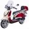 Amigo Bello ZN50QT-G 50cc Scooter with USB and Windshield