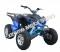 Extreme Hawk 200cc Sport ATV 4 Wheeler Quad Automatic Transmission