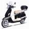 Amigo Avenza 50cc Scooter with USB, Windshield, Trunk, White wall