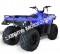 Linhai Bighorn Massimo 150cc ATV Quad Full Size Utility 4 Wheeler