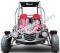 Trailmaster Blazer 200 Go Kart Go Cart Full Size Adult Buggy