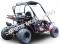 Trailmaster Blazer 200 Go Kart Go Cart Full Size Adult Buggy