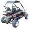 Trailmaster Blazer 200R Go Cart GoKart for Kids- Extreme Motor Sales