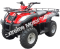 Canyon 250cc ATV Utility Semi-Auto Quad Shaft Drive with Reverse