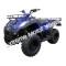 Canyon 250 ATV Blue