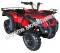 Canyon 250 ATV red