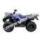 Canyon 250 ATV Blue