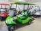 ICON i20 Electric Street Legal Golf Cart 2 Seat Neighborhood Vehicle