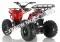 Apollo Commander 125cc Kids ATV Utility Style Kids Automatic Quad