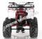 Apollo Commander 125cc Kids ATV Utility Style Kids Automatic Quad