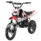 Apollo DB34 DB-34 110cc Dirt Bike Pit Kids Pro Semi Automatic