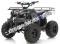 Apollo Focus 125cc Kid ATV Utility Style Kids Fully Automatic Quad