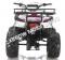 Apollo Focus 125cc Kid ATV Utility Style Kids Fully Automatic Quad