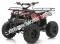 Apollo Focus 125cc Kid ATV Utility Style Kids Fully Automatic Quad