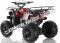 Apollo Focus 125cc Kid ATV Utility Style Kids Fully Automatic Quad