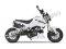 Fuerza PMZ125-1 |125cc Motorcycle | 125cc | Mini Moto | Grom Copy