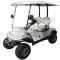 ICON i20L Lifted Electric Street Legal Golf Cart 2 Seat Neighborhood Vehicle