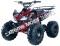 Alpine Jet 9 125cc Kids ATV Sport Fully-Auto Quad with Reverse