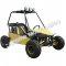 RAIDER 125cc Kids Go Cart Go Kart Dune Buggy 2 Seater