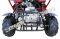 Mini Raptor 125cc Kids Go Cart Go Kart 2 Seat with Reverse