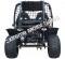 MAX 200GKJ2 Go Cart Go Kart Off Road Buggy Adult Dune Buggy