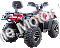 Terminator Monster 300cc Utility ATV 4x4 Four Wheeler Quad