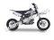 PAD125-1F 125cc Dirt Bike Fully Automatic Electric Start Pit Bike Kids