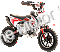 SYXMoto PAD60-1 60cc Mini Dirt Bike Fully Automatic Pit Bike