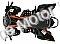 Pentora 250cc ATV Manual Transmission Off Road Quad 4 Wheeler Sport