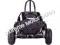 Youth 50cc Go Cart Kids