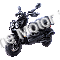 Wolf Rugby 150cc Gas Scooter Moped Street Legal 2 Year Warranty