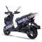 Wolf Rugby 150cc Gas Scooter Moped Street Legal 2 Year Warranty