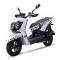 Wolf Rugby 150cc Gas Scooter Moped Street Legal 2 Year Warranty