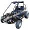 Trailmaster 300 XRSE EFI Go Cart Kart Dune Buggy 300cc Liquid Cooled