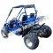 Trailmaster 300 XRSE EFI Go Cart Kart Dune Buggy 300cc Liquid Cooled