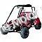 Trailmaster Blazer 200 Go Kart Go Cart Full Size Adult Buggy