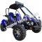 Trailmaster Blazer 200EX Buggy Go Kart EFI | Extreme Motor Sales