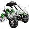 Trailmaster Blazer 200EX Buggy Go Kart EFI | Extreme Motor Sales