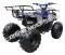 Cougar UT-125 125cc Kids ATV Utility Semi-Auto Quad with Reverse