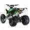 Apollo Blazer9 125cc Sport ATV Kids Quad 9 inch Wheel 4 Wheeler